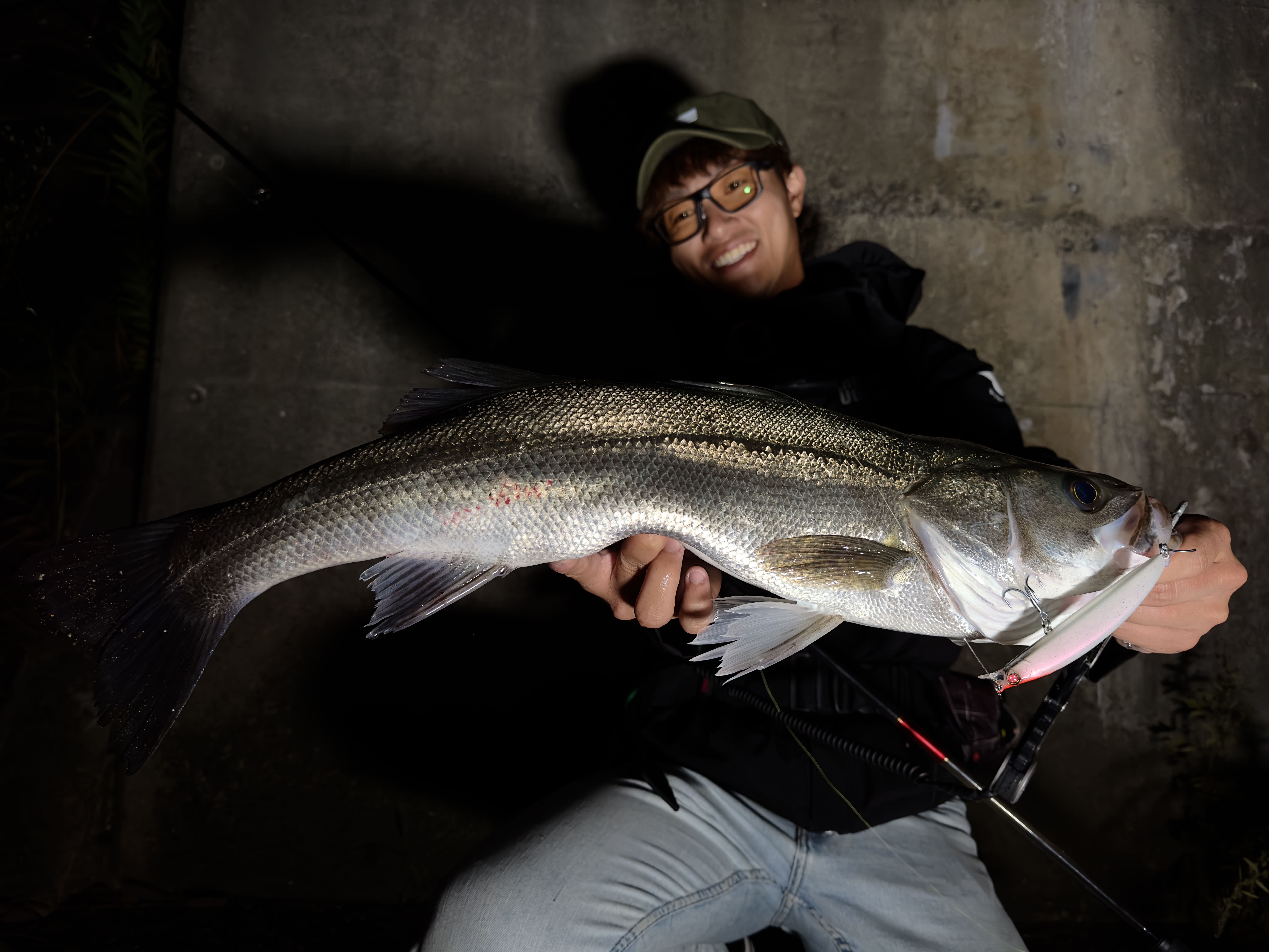 DOVER99F | ルアー | APIA